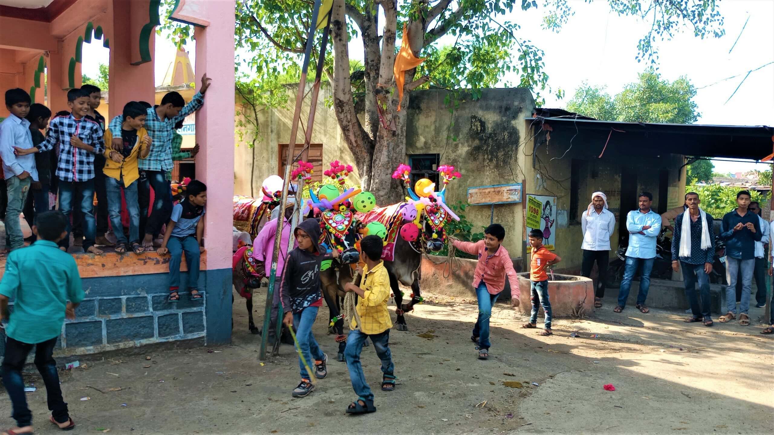 A lively scene from the Bail Pola festival in Maharashtra, featuring children playing and watching as a decorated bull is led through a village street, with villagers gathered around.