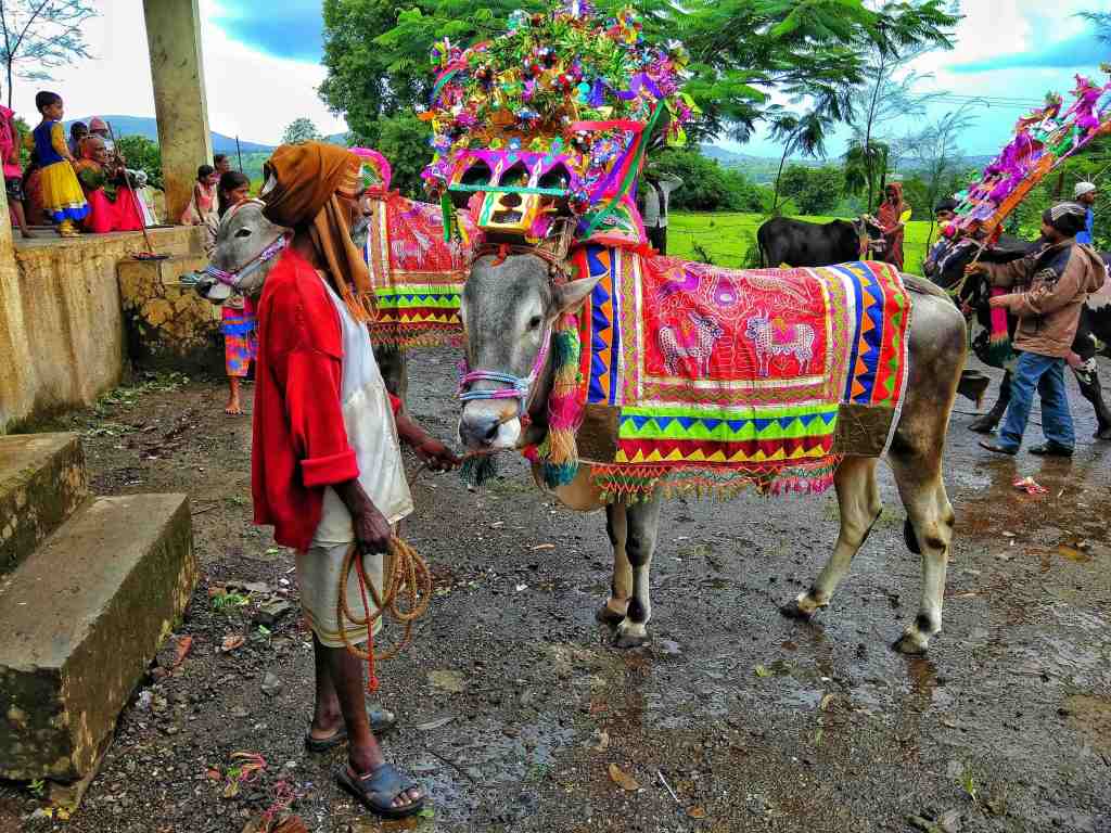 A farmer waiting outside the temple with his decorated bull. There are children and other farmers with their bulls waiting in the backdrop