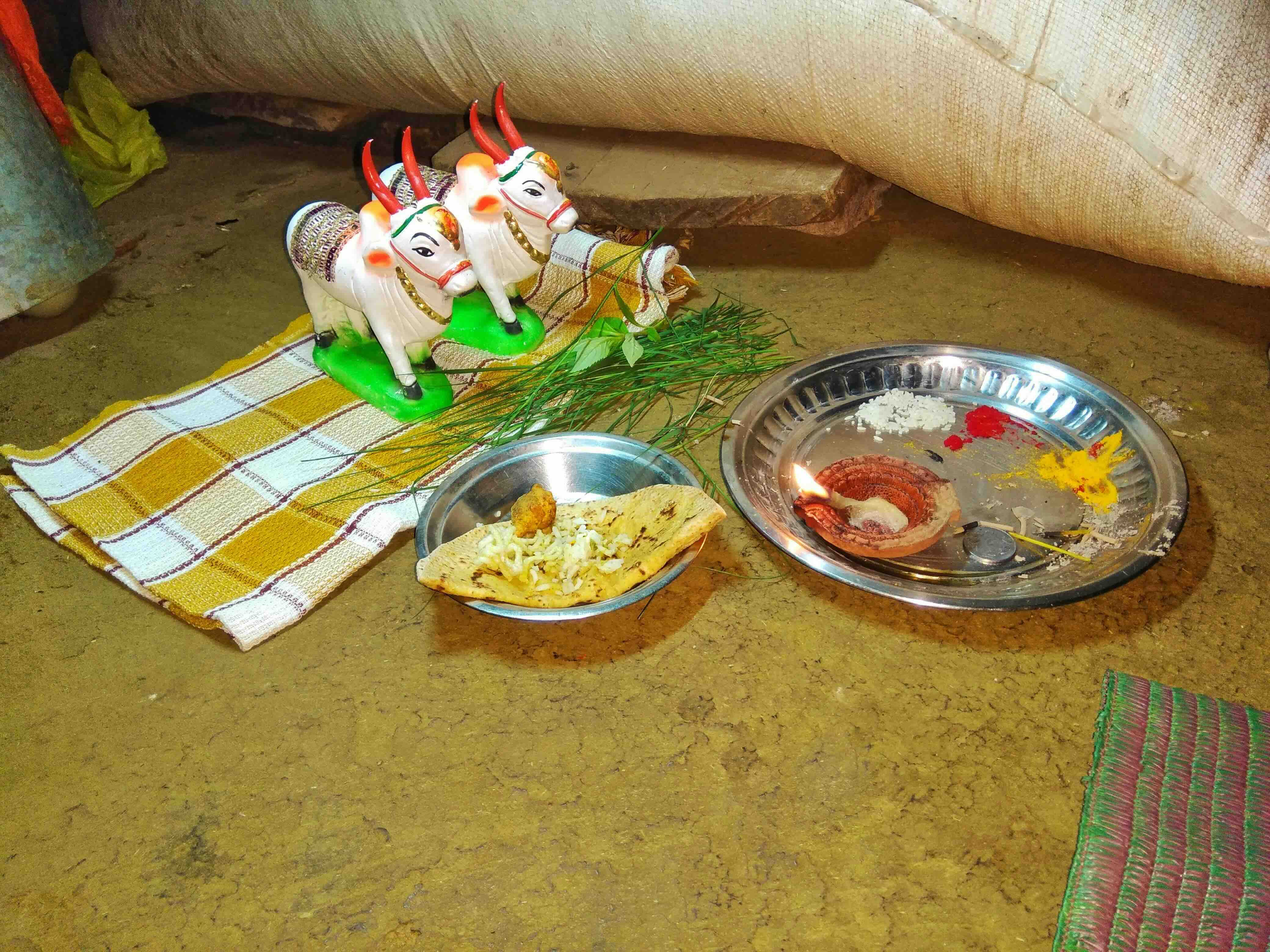 Decorative bull figurines placed on a cloth with traditional offerings, including food and ritual items, for the Bail Pola festival