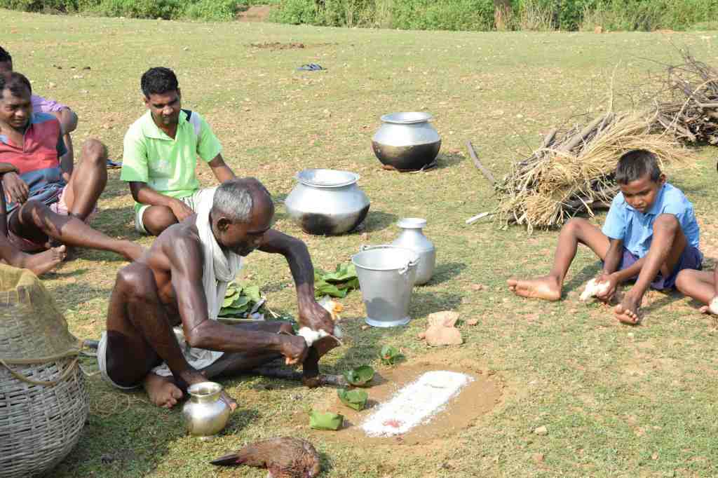 A group of people engaged in traditional riturals outdoors, with an elderly man, the village priest, performing sacrifice of hens. Nearby, a young boy is also involved in the preparation, holding a hen in his hands, while others observe. There are some pots and firewood in the vicinity.