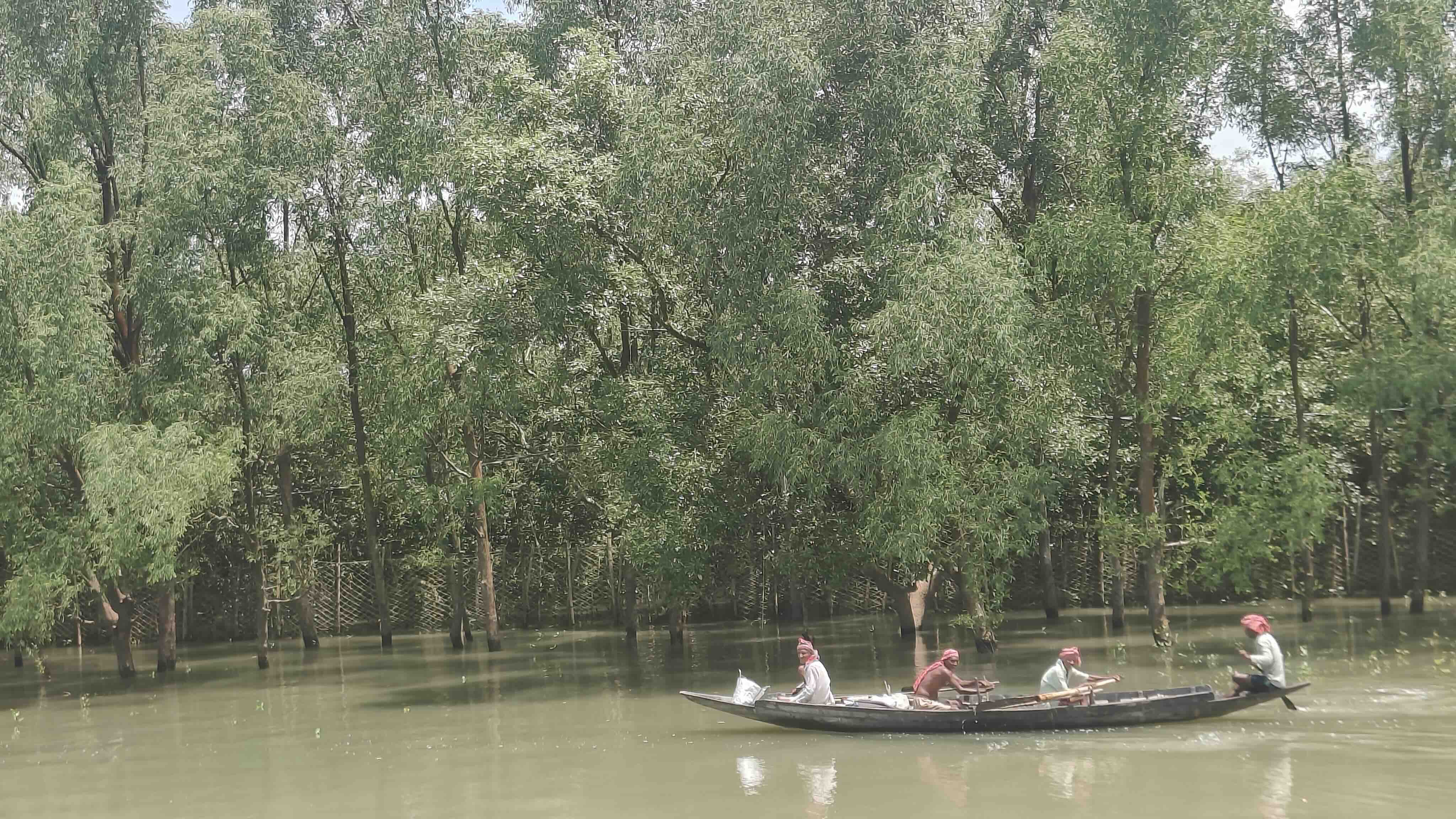 Four people in a wooden boat rowing through a lush flooded forest
