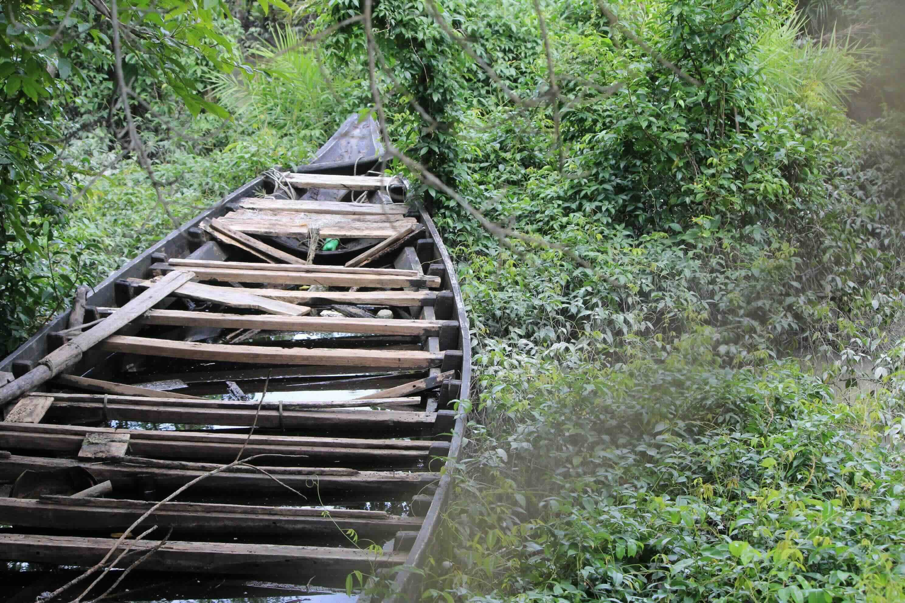 A weathered wooden boat with broken planks rests amidst lush green vegetation